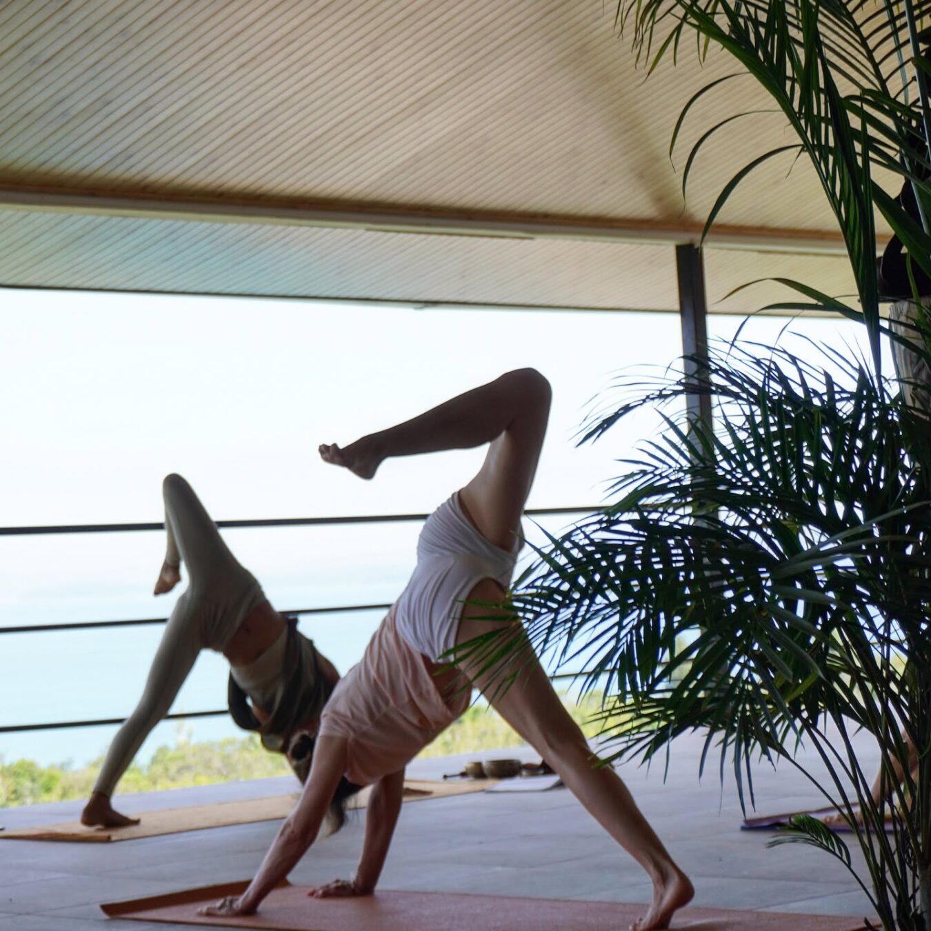 Yoga practice on a terrace overlooking the ocean at Casa Blanca Inn
